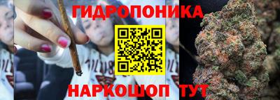 скорость Боровичи