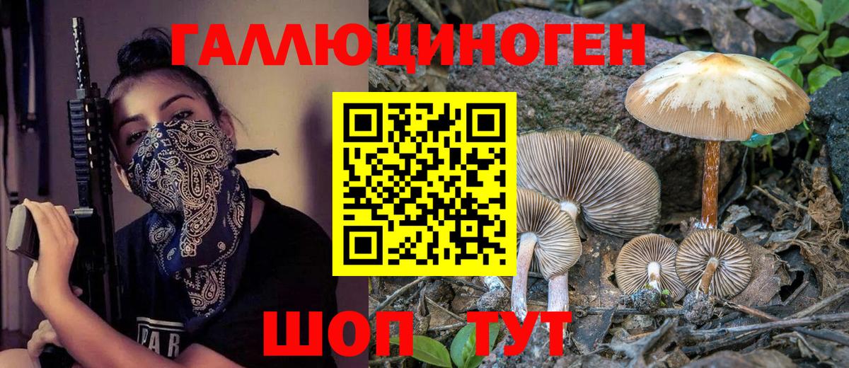 Галлюциногенные грибы Psilocybe  Вход с VPN  Псилоцибиновые грибы Cubensis  Белово 
